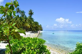 Planifiez votre évasion aux Maldives : conseils et astuces pour un séjour inoubliable !