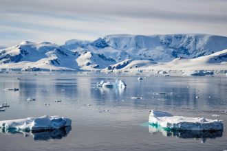 Que voir et que faire lors d'une croisière en Antarctique ?