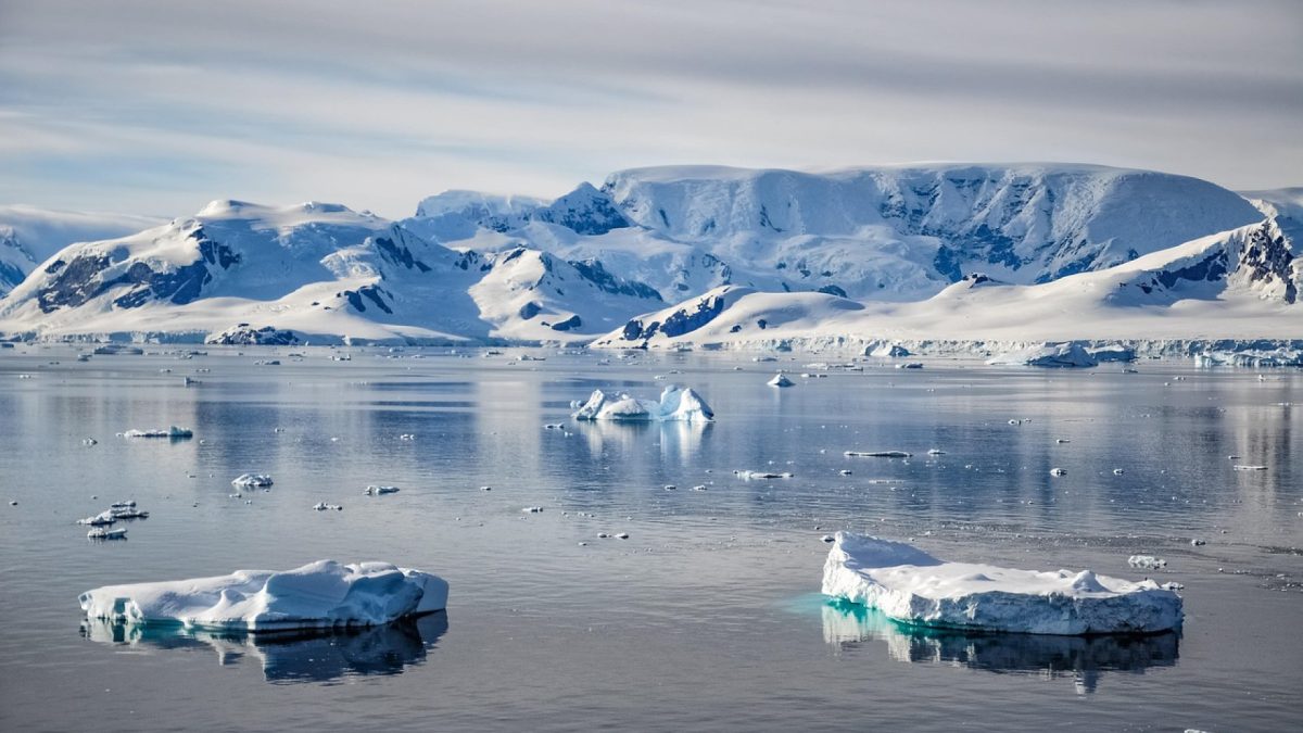 Que voir et que faire lors d'une croisière en Antarctique ?